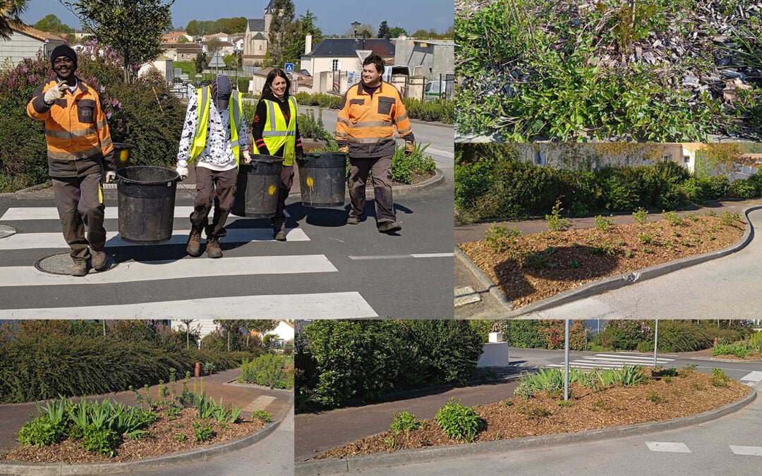 La création des espaces verts !